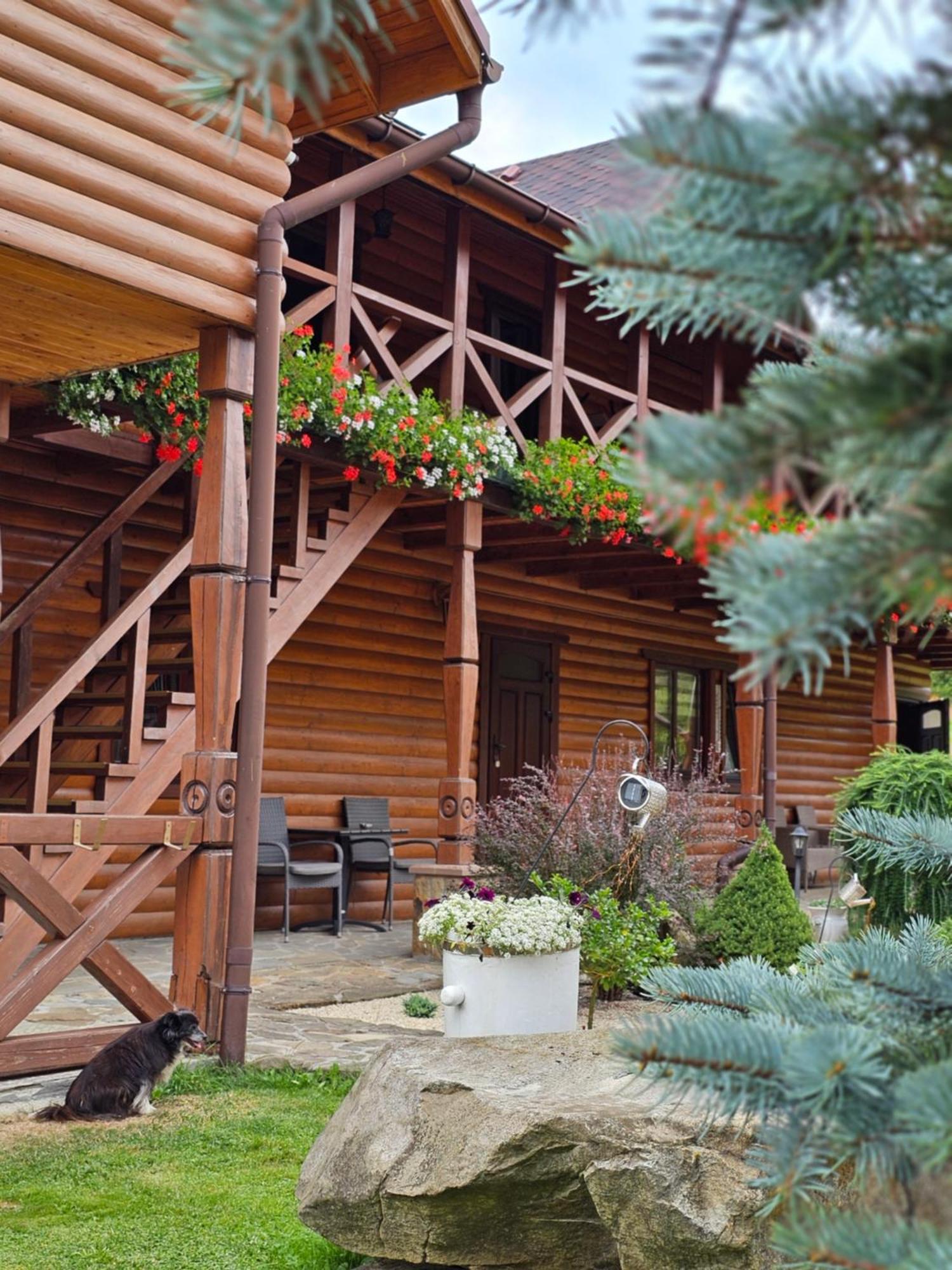 Guesthouse Kolo Druziv Tatariv Exterior foto